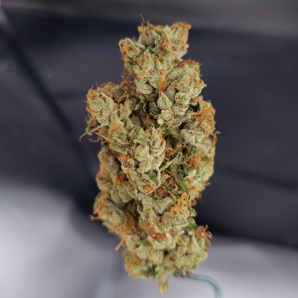 AJ Sour Diesel (Philly Cut)
