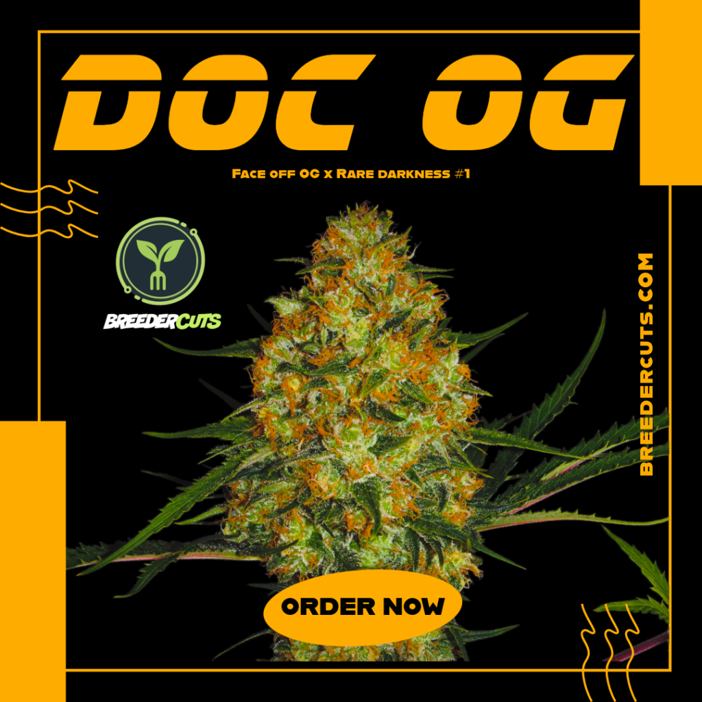 Doc OG (Gaby's Collection)