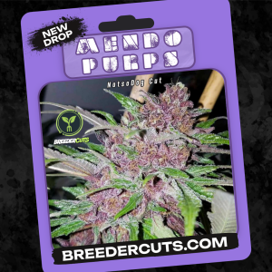 Mendo Purps (Notsodog Cut)