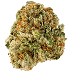 Strawberry Lemon G (Gaby's Collection)