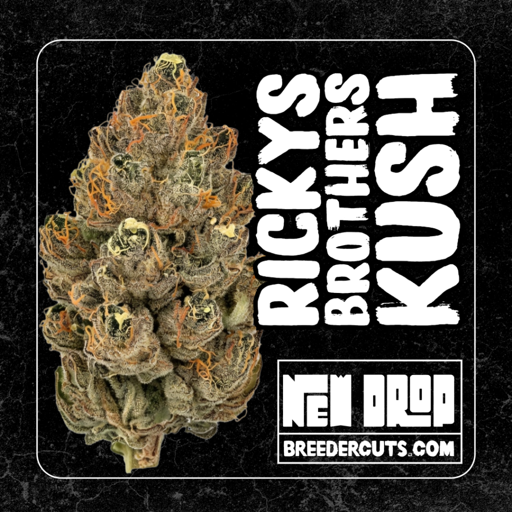 Rickys Brothers Kush (Clone Only Cut)