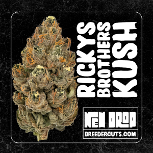 Rickys Brothers Kush (Clone Only Cut)