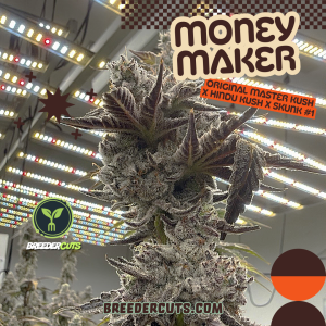 Money Maker (Green house Seed Co)